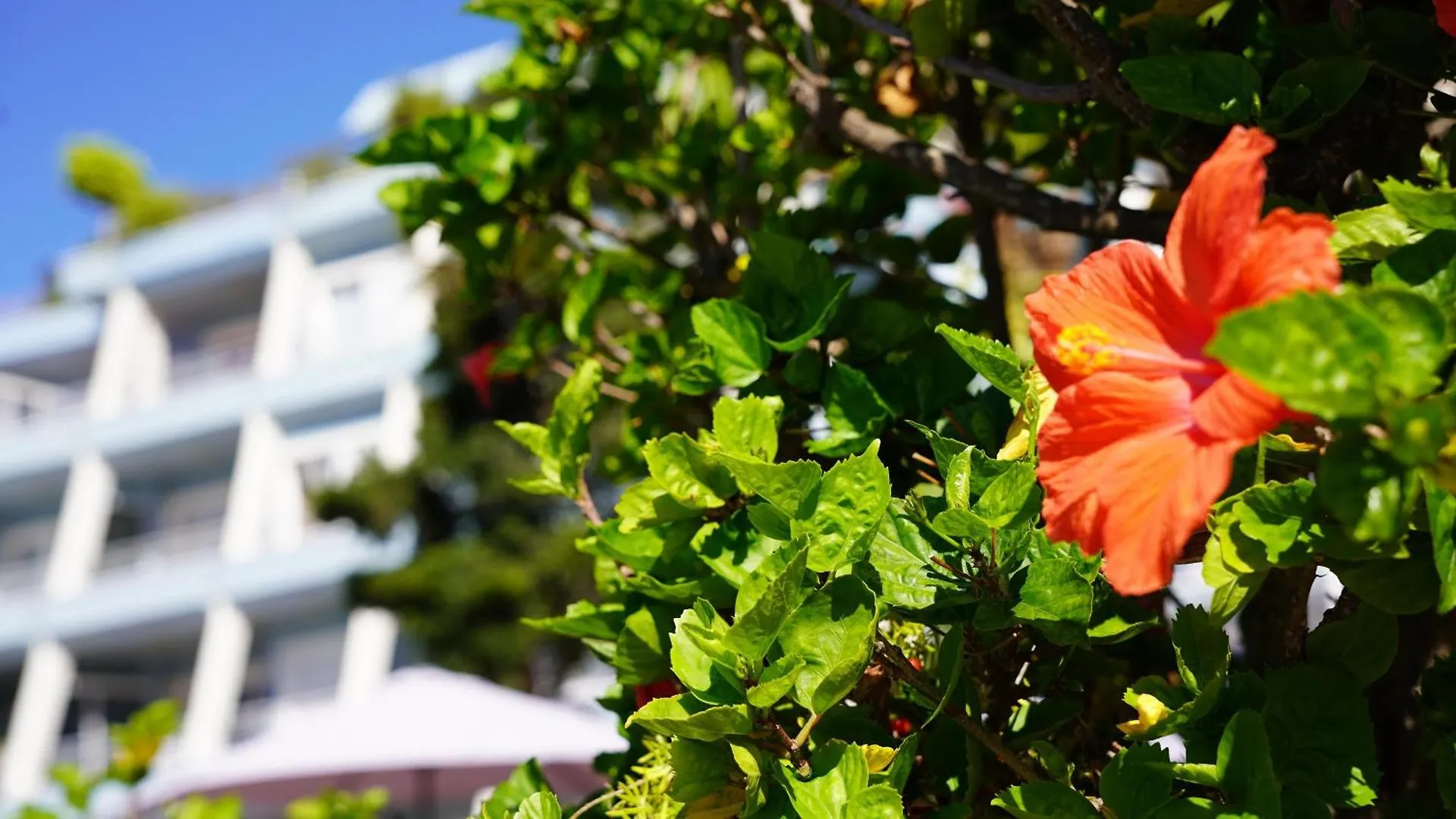 Coral La Quinta Park Suites Santa Úrsula Spanien